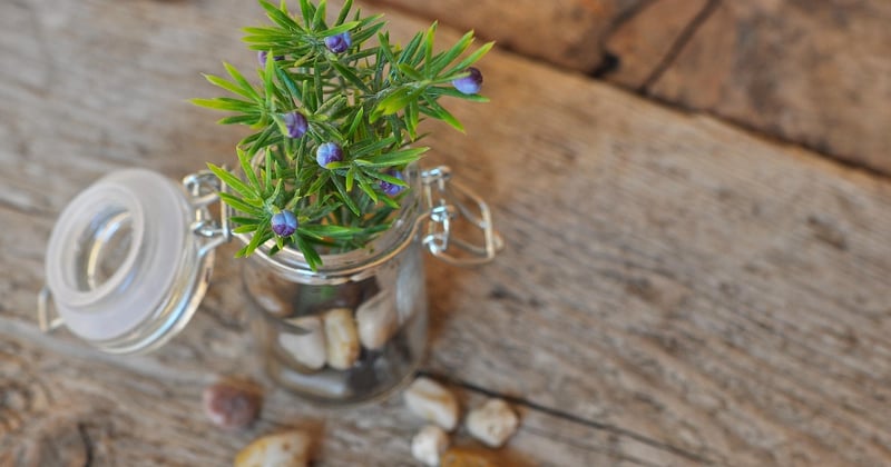 Style scandinave ou industriel : comment choisir sa déco sans se tromper